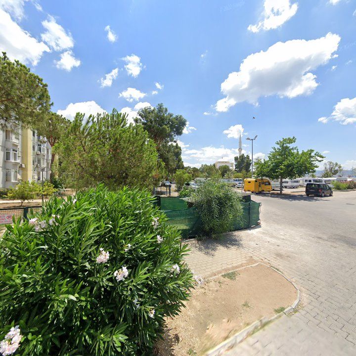 Fotoğraf 8