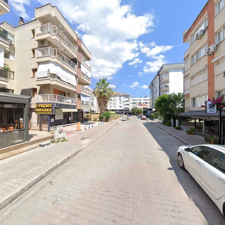 Fotoğraf 11