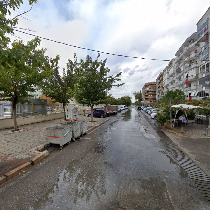 Fotoğraf 9