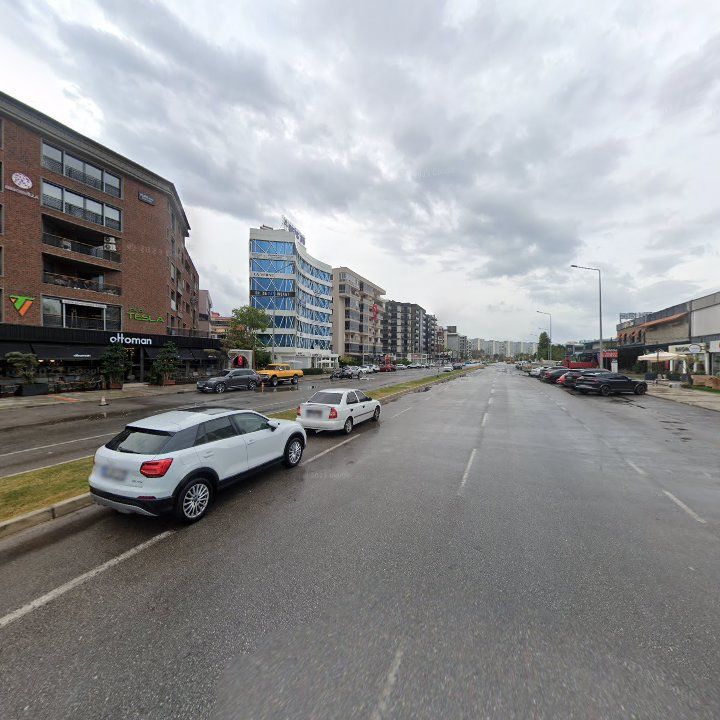 Fotoğraf 12