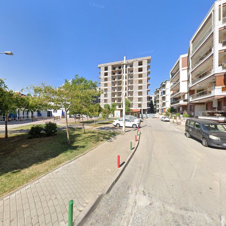 Fotoğraf 10