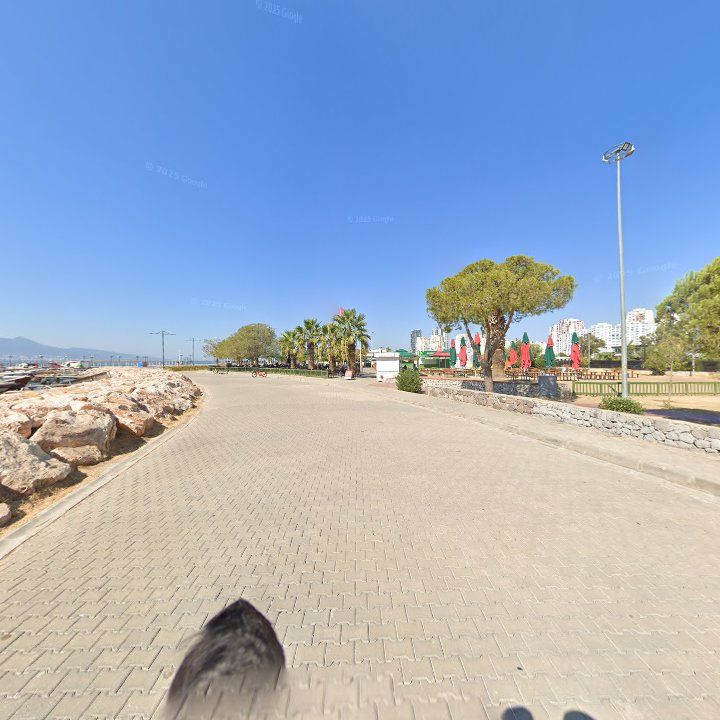 Fotoğraf 9