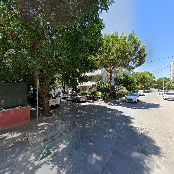 Fotoğraf 7