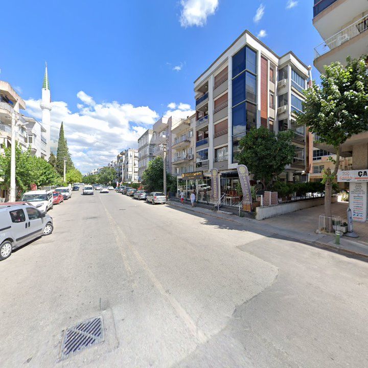 Fotoğraf 12