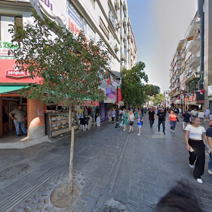 Fotoğraf 8
