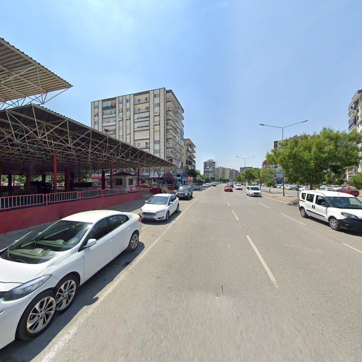 Fotoğraf 10