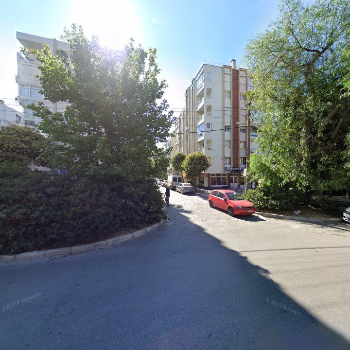 Fotoğraf 5