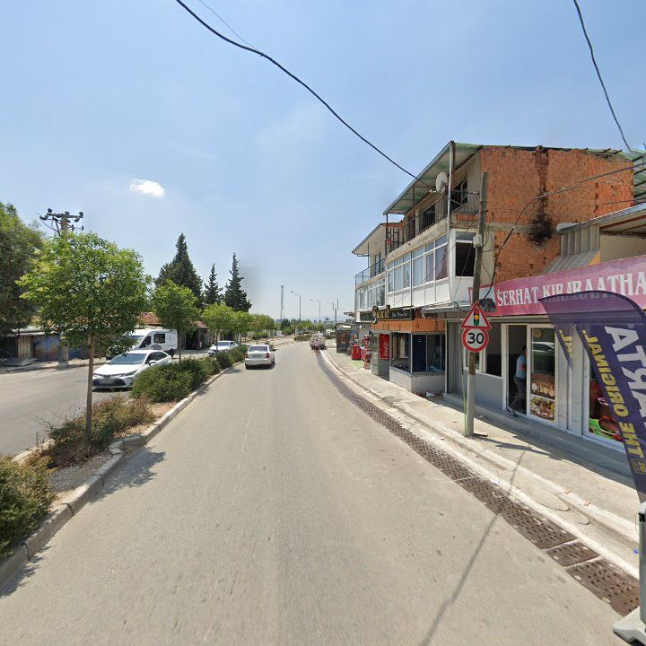 Fotoğraf 6