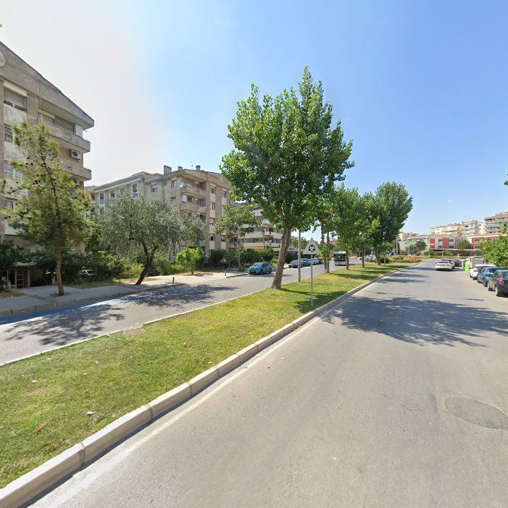 Fotoğraf 14