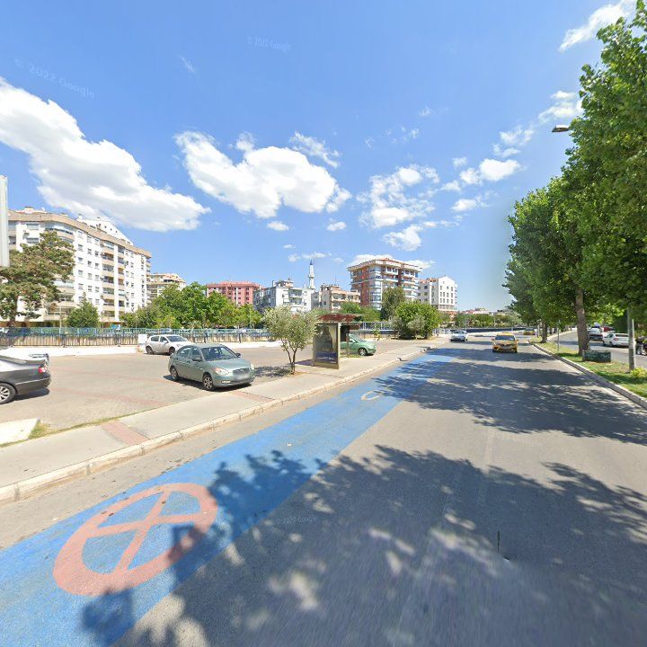 Fotoğraf 12