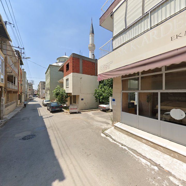 Fotoğraf 7