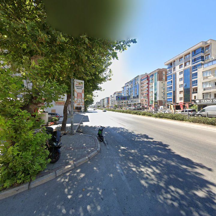 Fotoğraf 12