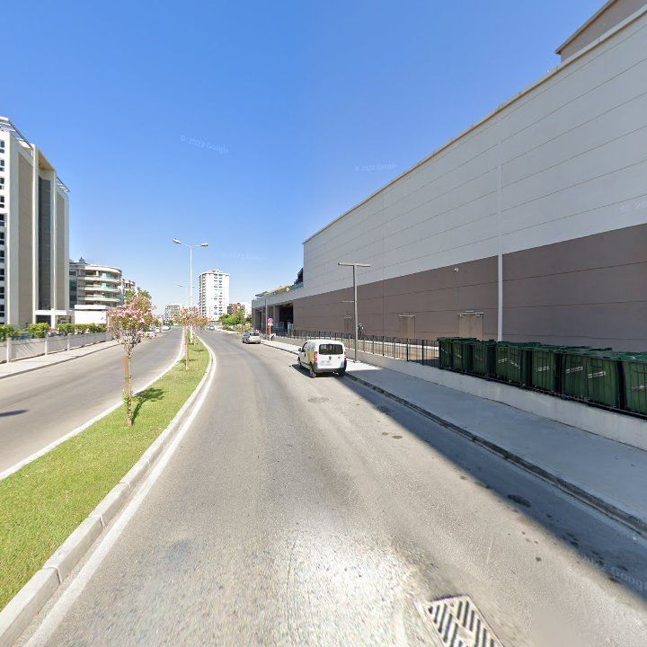 Fotoğraf 8