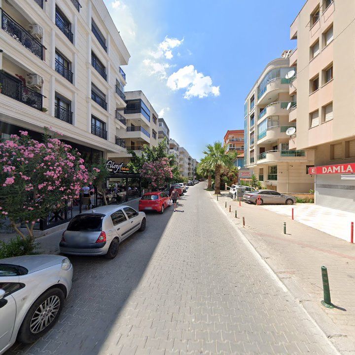Fotoğraf 12