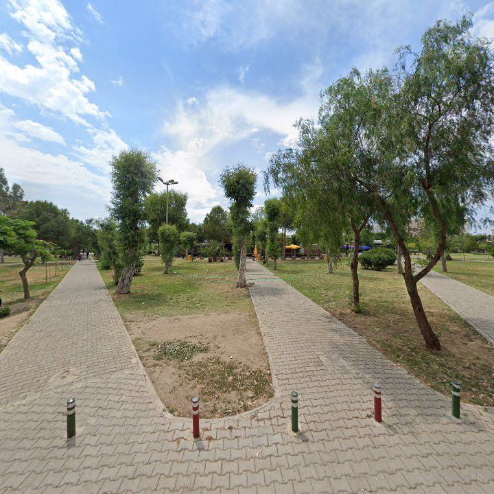 Fotoğraf 9