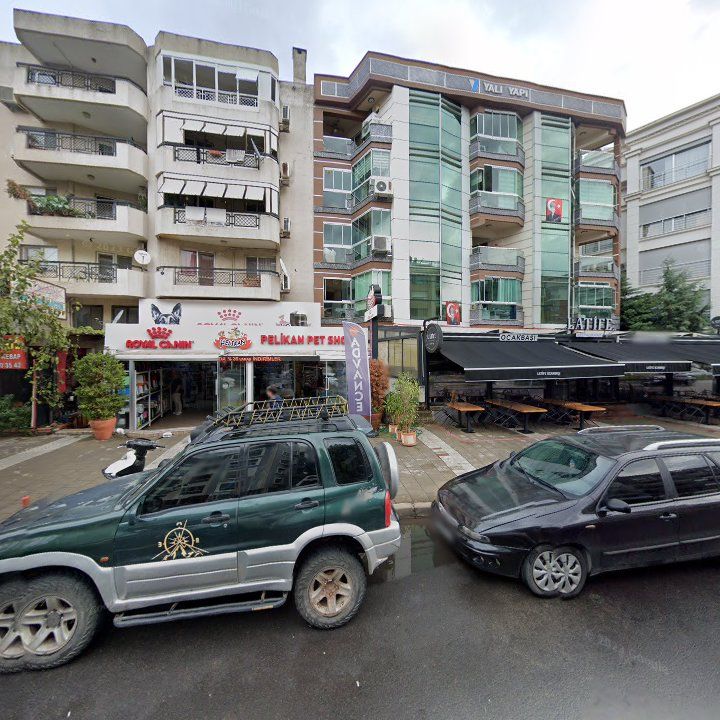 Fotoğraf 11
