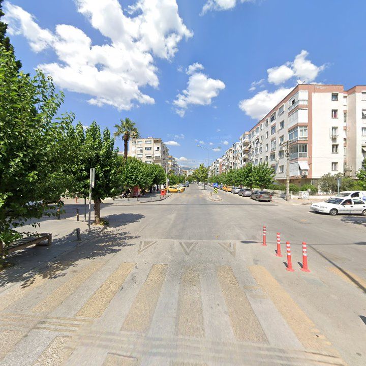 Fotoğraf 11