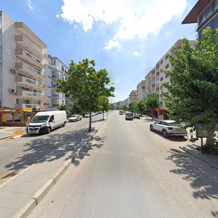 Fotoğraf 13