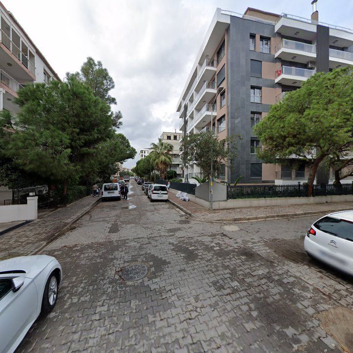 Fotoğraf 13