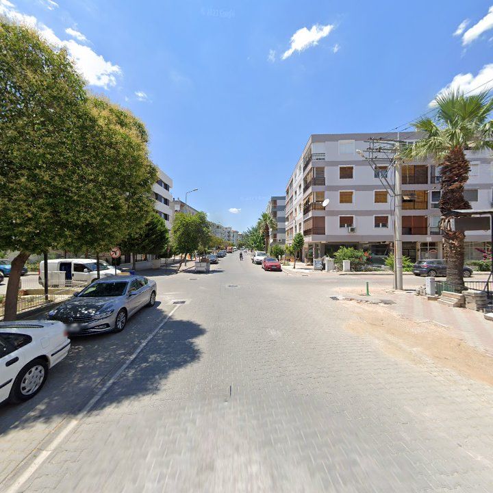 Fotoğraf 12