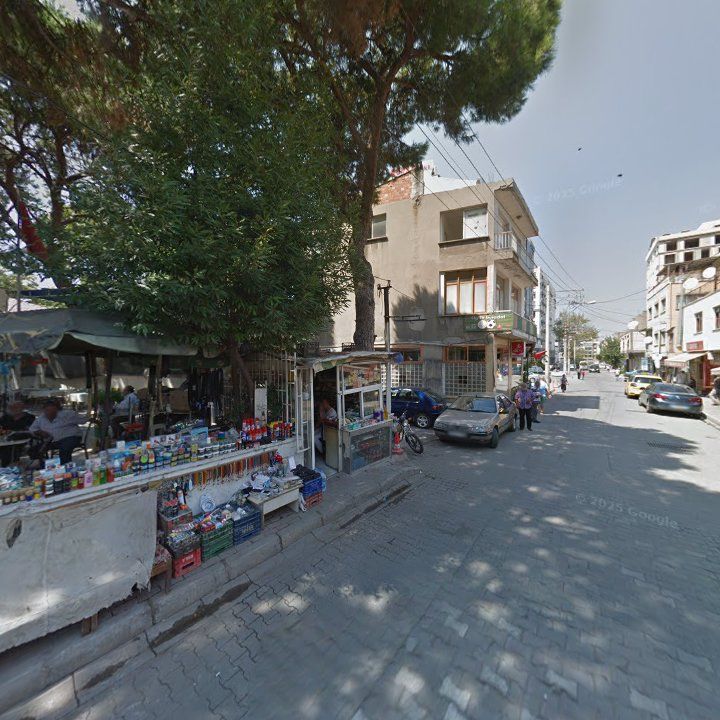 Fotoğraf 13