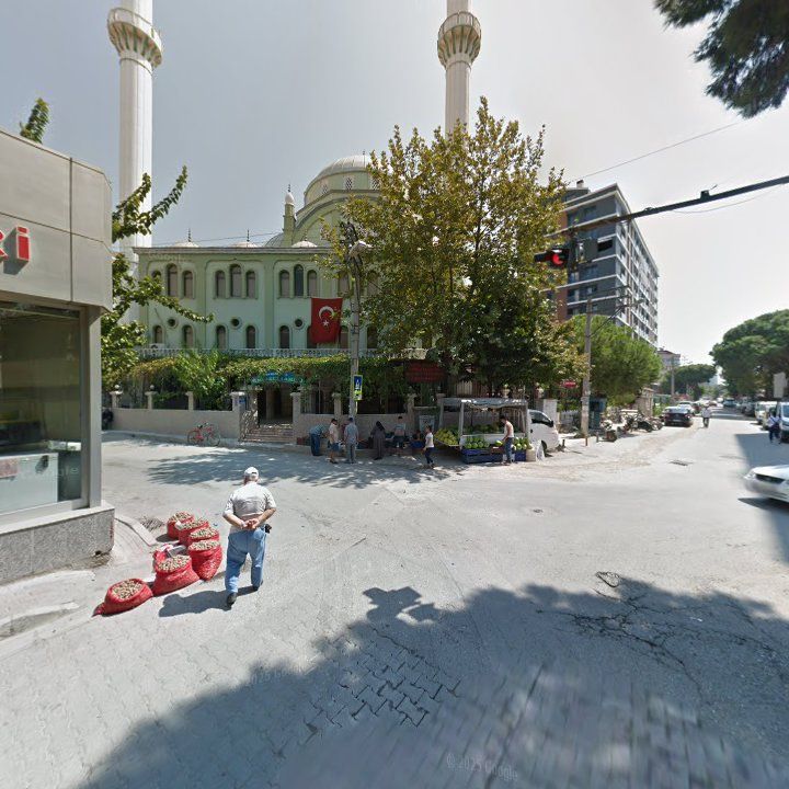 Fotoğraf 11