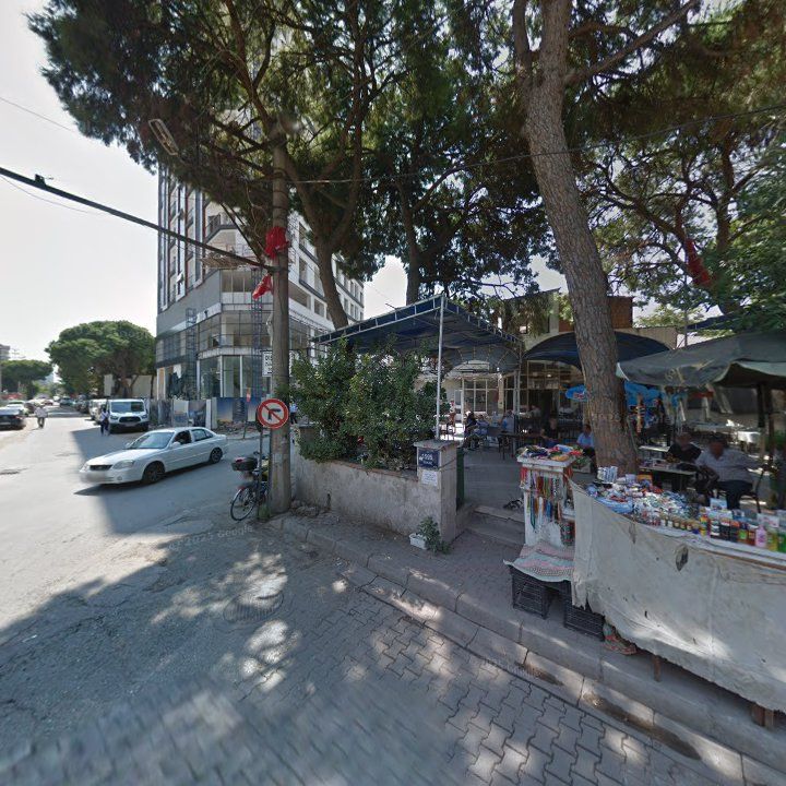 Fotoğraf 12