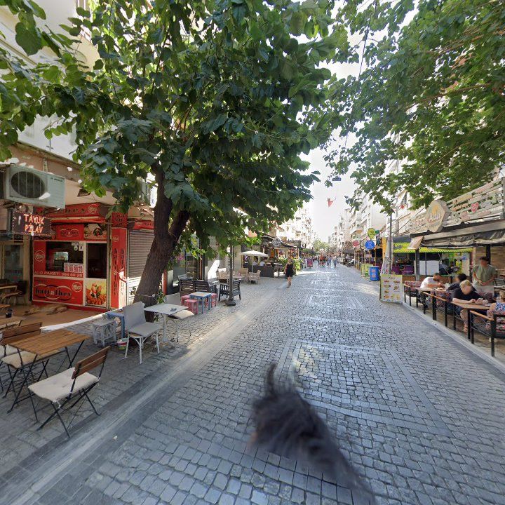 Fotoğraf 10