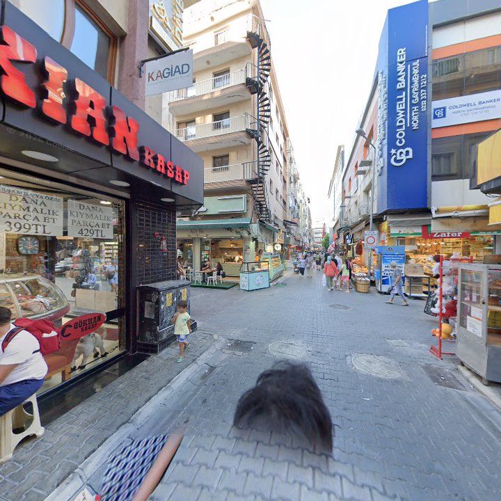 Fotoğraf 12
