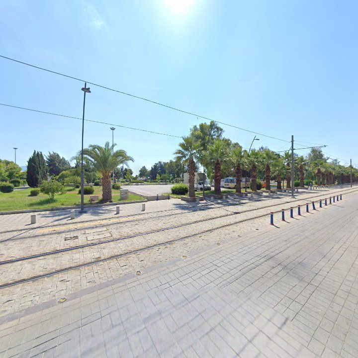 Fotoğraf 11