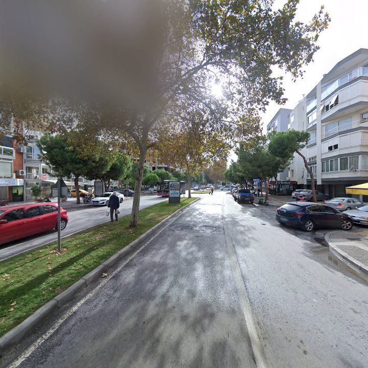 Fotoğraf 12