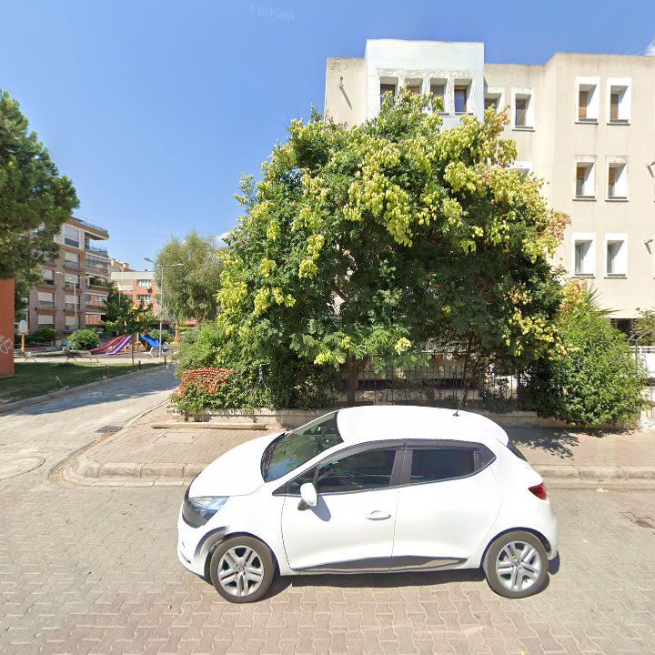 Fotoğraf 12