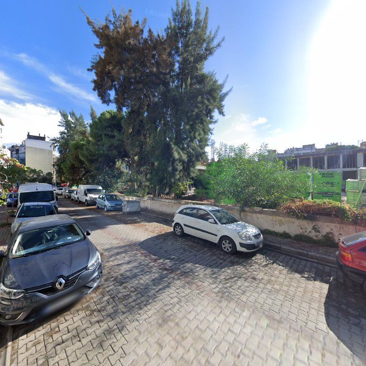 Fotoğraf 7