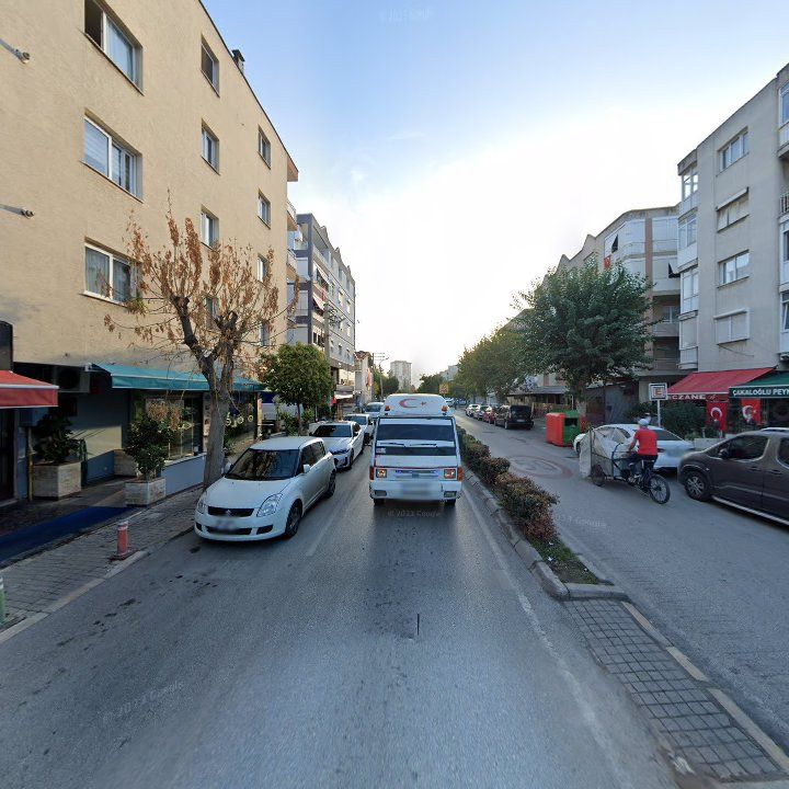 Fotoğraf 7