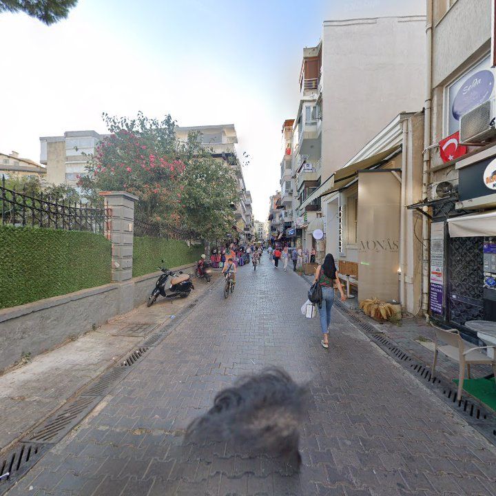 Fotoğraf 11