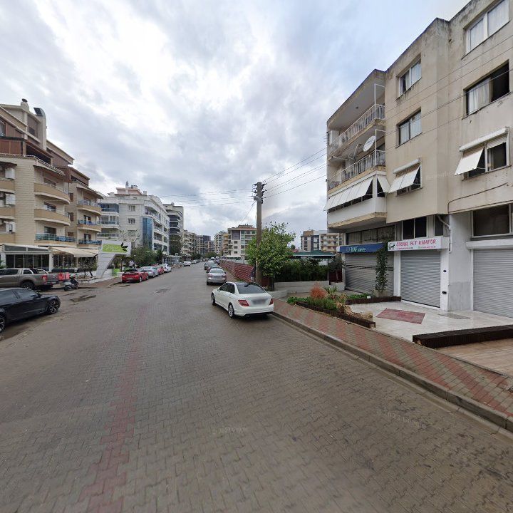 Fotoğraf 12