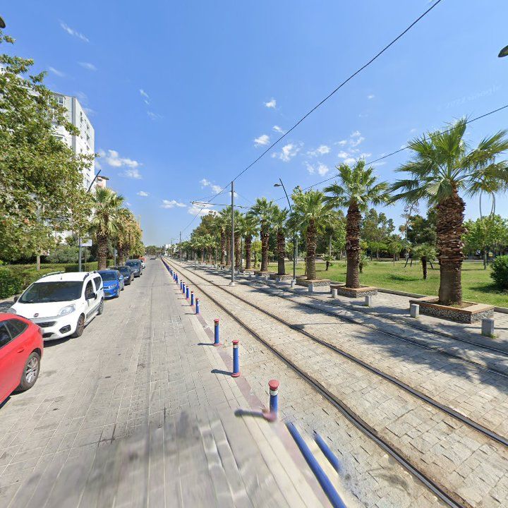 Fotoğraf 10