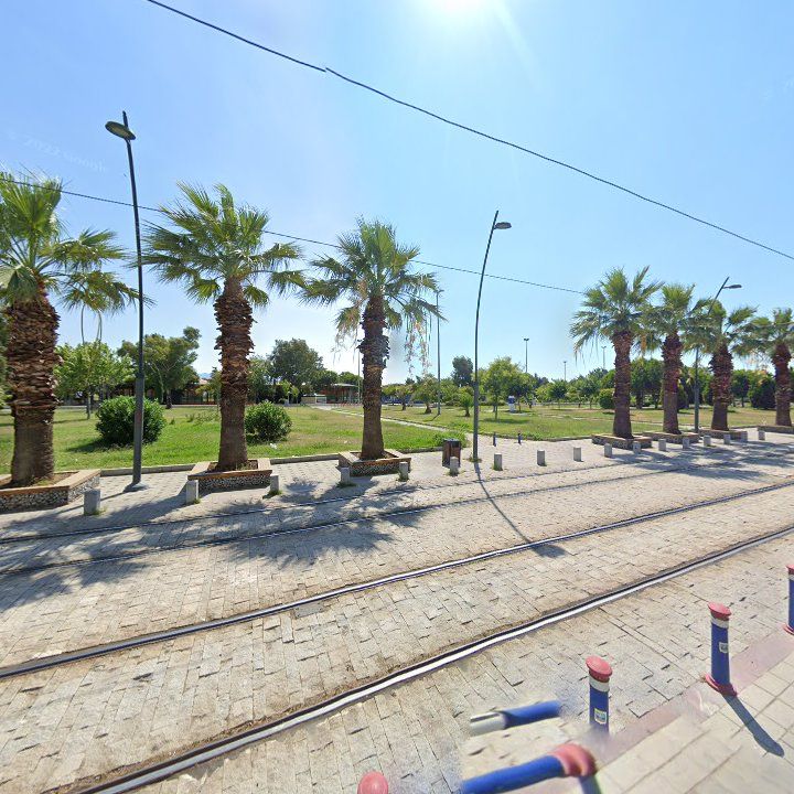 Fotoğraf 11