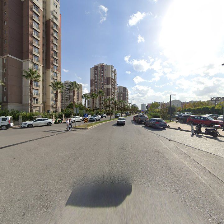Fotoğraf 12