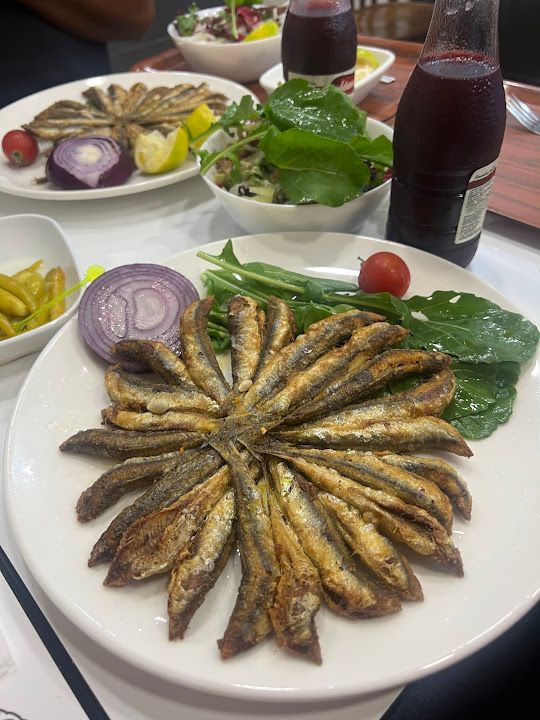 Fotoğraf 41