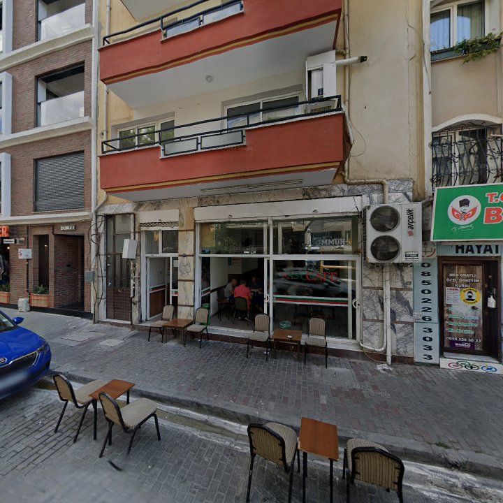 Fotoğraf 11