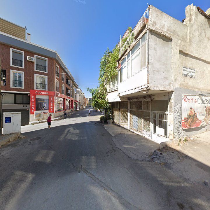 Fotoğraf 6