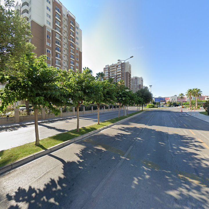 Fotoğraf 14