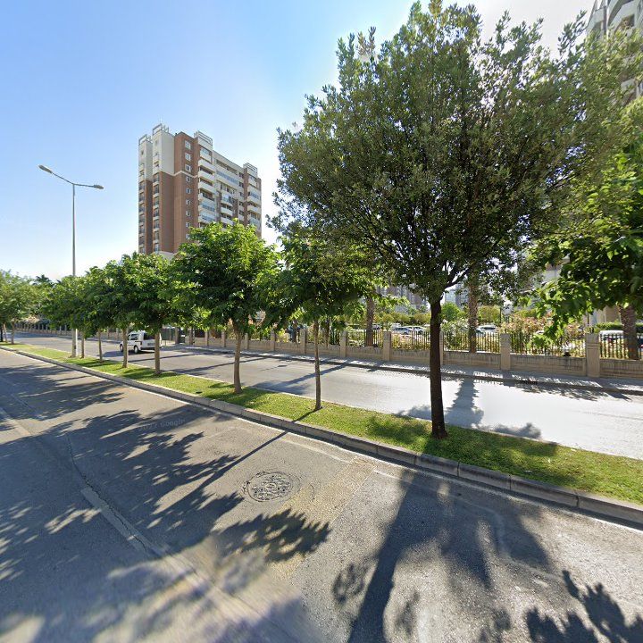 Fotoğraf 13
