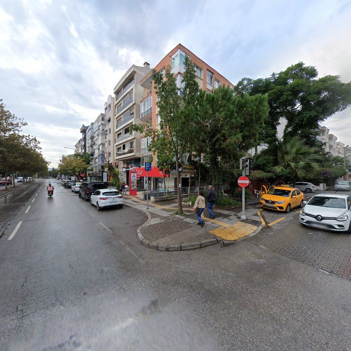 Fotoğraf 10