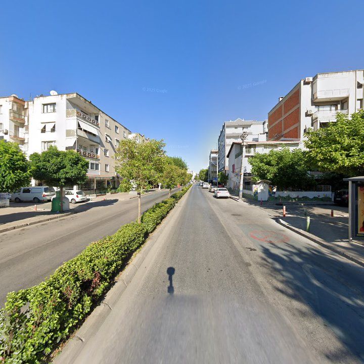 Fotoğraf 10