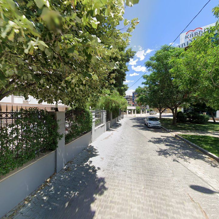 Fotoğraf 10