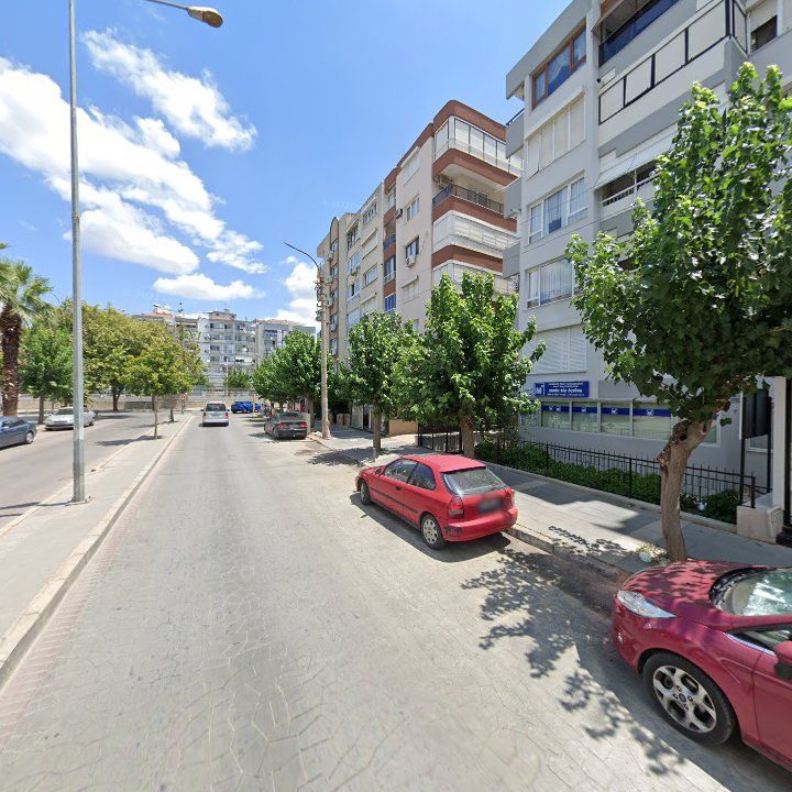 Fotoğraf 12