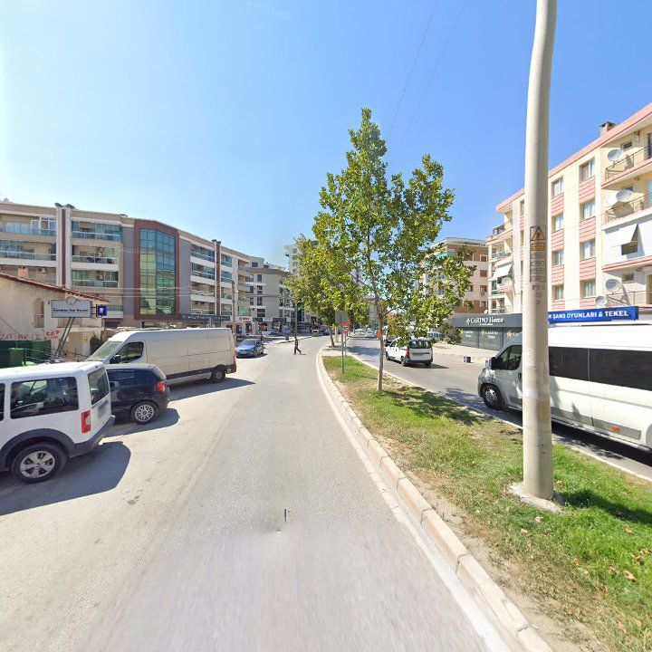 Fotoğraf 8
