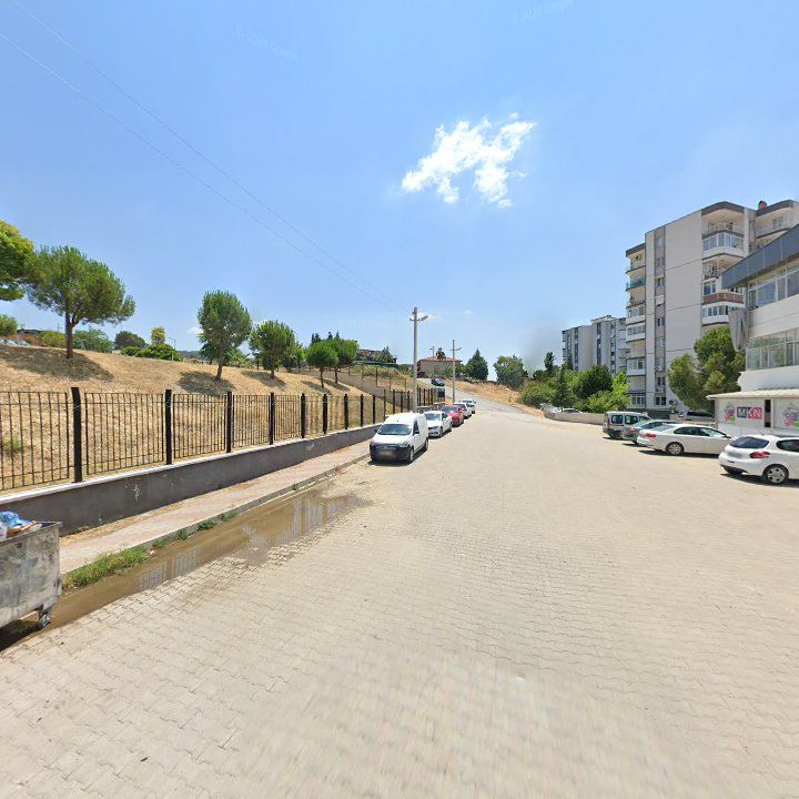 Fotoğraf 12